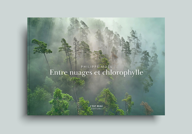 Philippe Moës 01.jpg