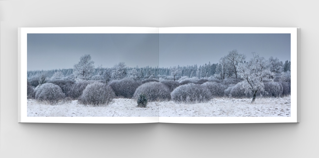 Philippe Moës 04 Web.jpg